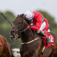 Castleroe Stables (@castleroestable) 's Twitter Profile Photo Castleroe Stables (@castleroestable) 's Twitter Profile Photo
