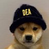 DEAonSolana's profile picture. Dog Enforcement Agency $DEA Contract: HxtRWx83K61KjsNu1iCB4uhX9cbUtcSizRjLXXSZyyEm On Solana Blockchain 🐶