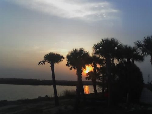 DaveThomas270's profile picture. 