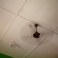 PO (@pojfa) 's Twitter Profile