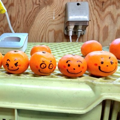 sbsb65536's profile picture. 四国のみかん県でみかん作ってます。
ラーメンとうどんとお酒が大好きです。
田村ゆかりさんと鷲崎健さんのラジオが大好物です。
大きくなったらマーク・ハントになりたいです。