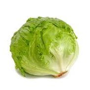 biologia cosuques (@biocosuques) 's Twitter Profile