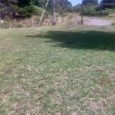 pabloatle's profile picture. 