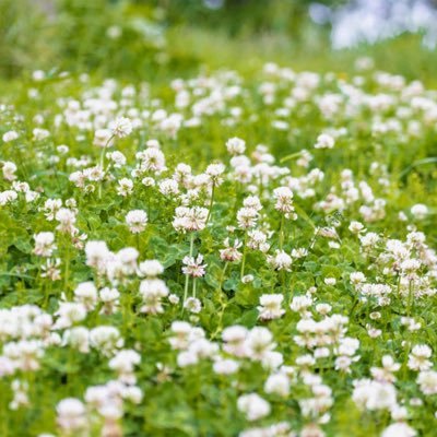 PENGUINDRUM59's profile picture. 遠距離 既子有👨やめたいのにやめられない。自分の考えをつらつら書くところ 24.0108～