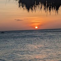 Sheryl (@quiltersd) 's Twitter Profile