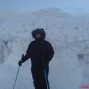 harry groves - @dognut123 - Twitter