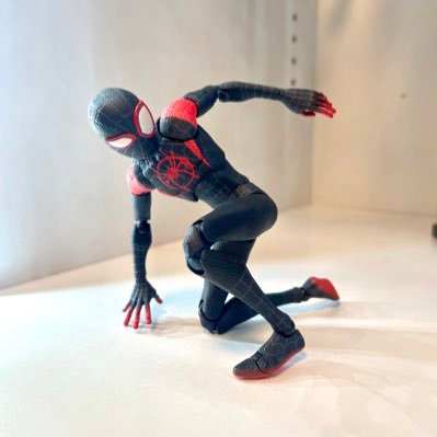 スパイダーマン系を中心に収集しています！ 無言フォロー失礼致します。よろしくお願いします。