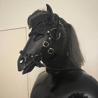 19|🇳🇿|Bi|Alpha|Rubber Pup, Pony and Dragon|Want to get into Leather and Murrsuits|Feel free to DM or Recommend Gear|