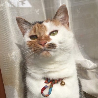 ニタさんのプロフィール画像