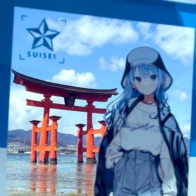 星詠み社会人2年目 最推し:星街すいせい☄️ /生まれた時から阪神ファン🐯/ #星詠み