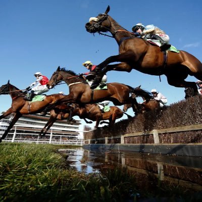 Daily Horse Racing Tips