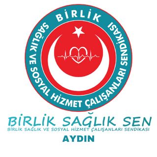 BİRLİK SAĞLIK SEN | Birlik Sağlık ve Sosyal Hizmet Çalışanları Sendikası | AYDIN