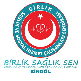 BİRLİK SAĞLIK SEN | Birlik Sağlık ve Sosyal Hizmet Çalışanları Sendikası | BİNGÖL ŞUBESİ