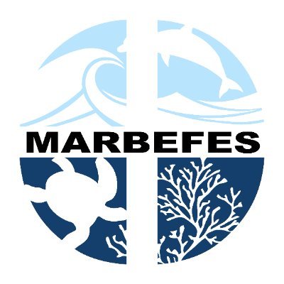 marbefes Profile Picture