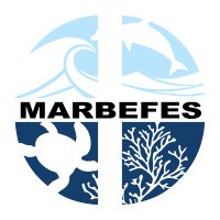 MARBEFES(@marbefes) 's Twitter Profile Photo