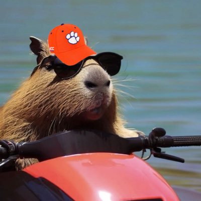 Clemson Basketball’s #1 Fan. Ball and Snack Knower.