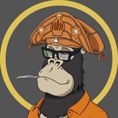 CryptoJack247 Profile Picture