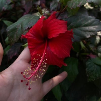 send9mine's profile picture. 