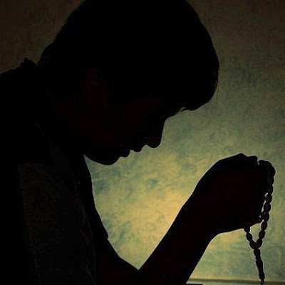 Davidarmenia113's profile picture. 