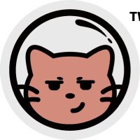 ꜰɪᴢᴢʏ🐈‍⬛🫧(@Fizzymeow_) 's Twitter Profile Photo