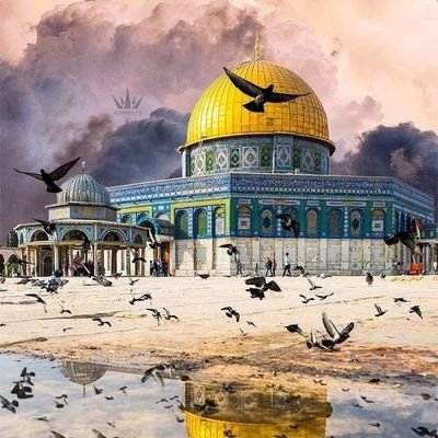 لن تذبل وردة
على ثغر فلسطين
وعين الله ترعاها. 🌹✌️