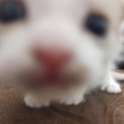 sdsntcnm's profile picture. 女的一巴掌，男的更是两巴掌。别关注我