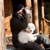 Helsinki Birder (@helsinkibirder) Twitter profile photo Helsinki Birder (@helsinkibirder) Twitter profile photo