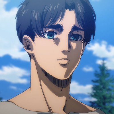 N0IdeaForaName's profile picture. Attack on Titan and Hunter x Hunter are PEAK