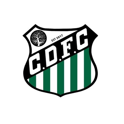Coed Darcy FC Profile