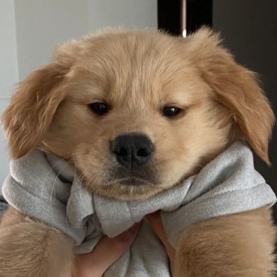 be_loved23's profile picture. Instagram@eyenouta 🫧