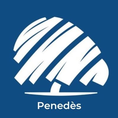 Perfil oficial d'Aliança Catalana ( @CatalunyaAC ) de la Vegueria del Penedès 💙 #SalvemElPenedès