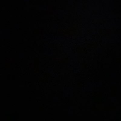 berllybossman's profile picture. 