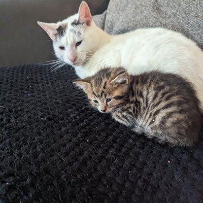 Olivia1495974's profile picture. 