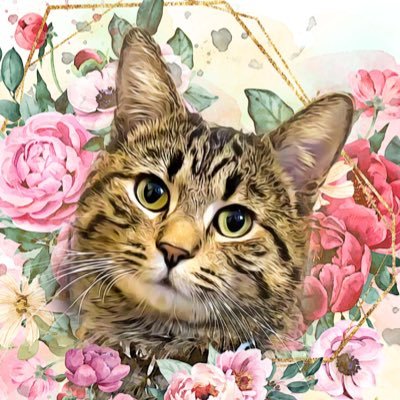 odinthe_catt Profile Picture