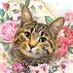 odin 🐾 (@odinthe_catt) Twitter profile photo odin 🐾 (@odinthe_catt) Twitter profile photo