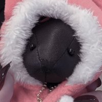 γγπ₯ (@piyo_o_v) 's Twitter Profile
