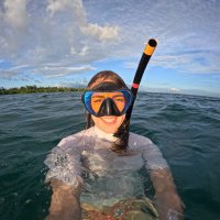 Mara Fischer (@marafischr) 's Twitter Profile