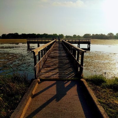 byhaleyrenee's profile picture. Passionate educator, lifelong learner, and nature lover