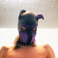PupperJax (@baddragodarrion) 's Twitter Profile
