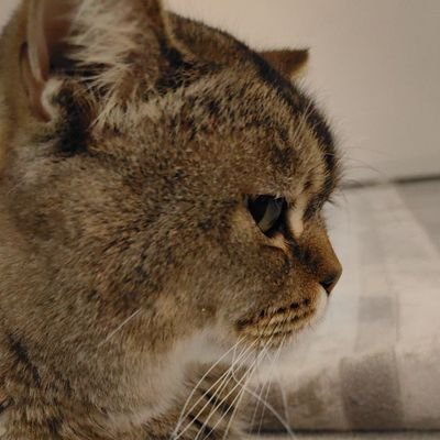 byDr1416's profile picture. Her daim öğrenir...