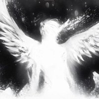 Shiro (@shirosnil) 's Twitter Profile