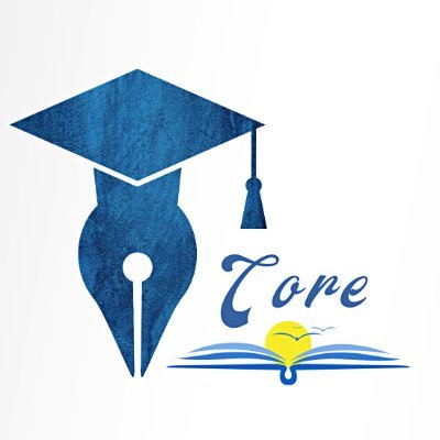 Tech Mentor Core Profile