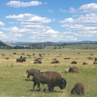 4eranch's profile picture. 