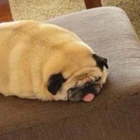 Kikiko (@kekolds) 's Twitter Profile