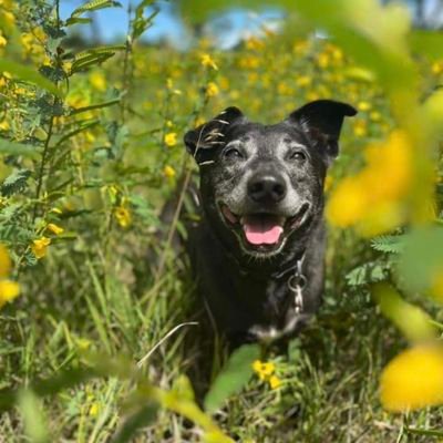 Brian_Estrem's profile picture. Timberwolves, and Vikings Fan mixed in with some politics.