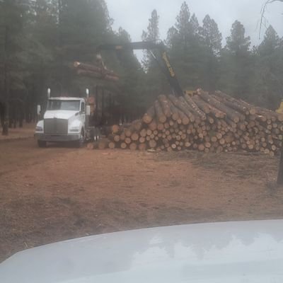 Pam's husband,father of two great kids,timber harvester