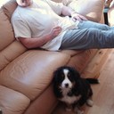 jean bouchard - @Bouchard53Jean - Twitter