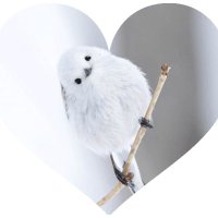 lulu✨ (@susanharsono) 's Twitter Profile