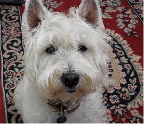 juliestneots's profile picture. Just me (they/their)