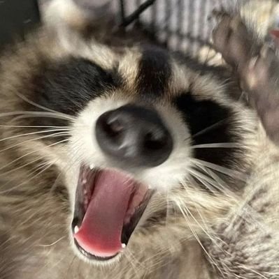 BeelZebubsさんのプロフィール画像
